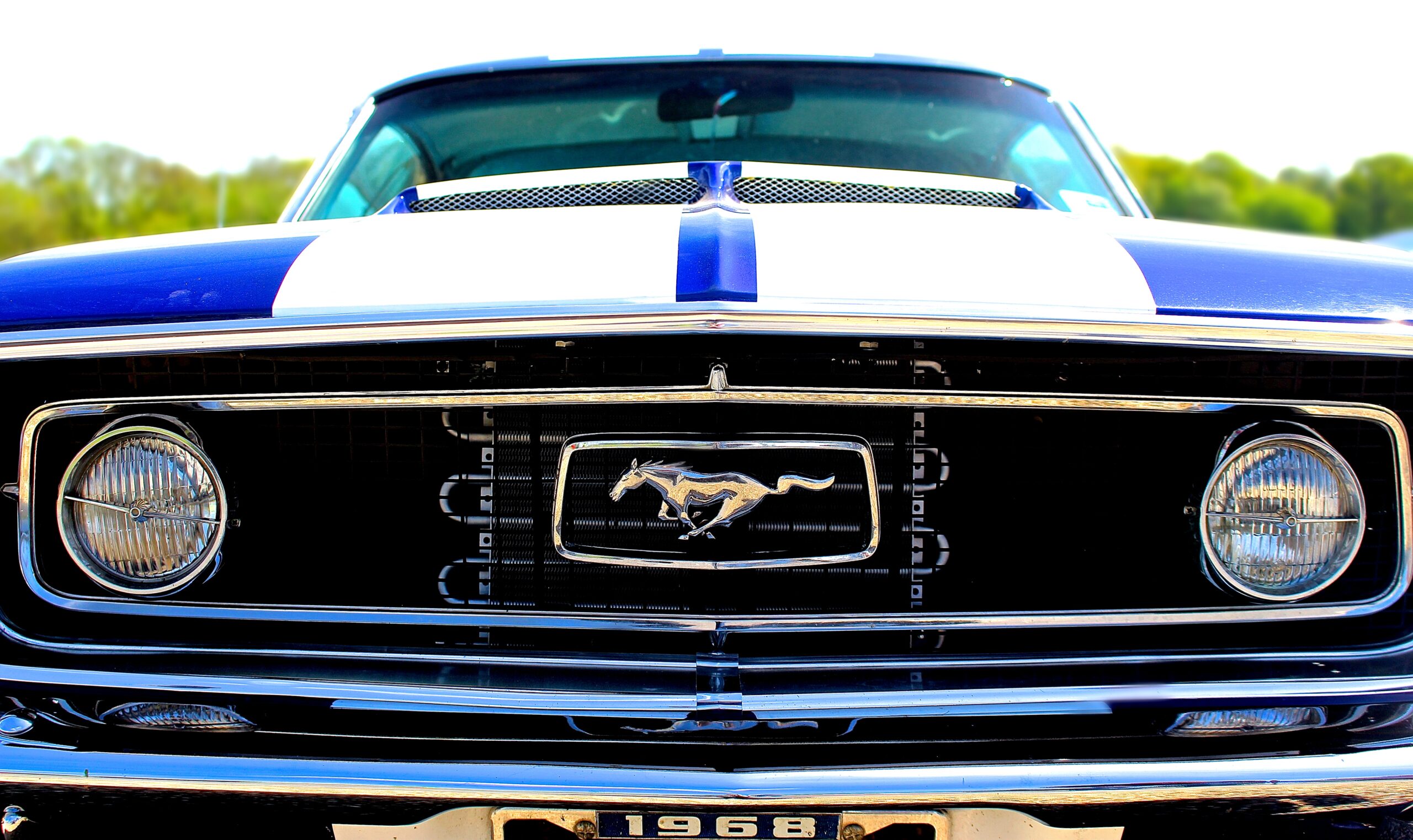 American Car Mustang Grill